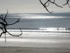 Affordable Absolute Beachfront House